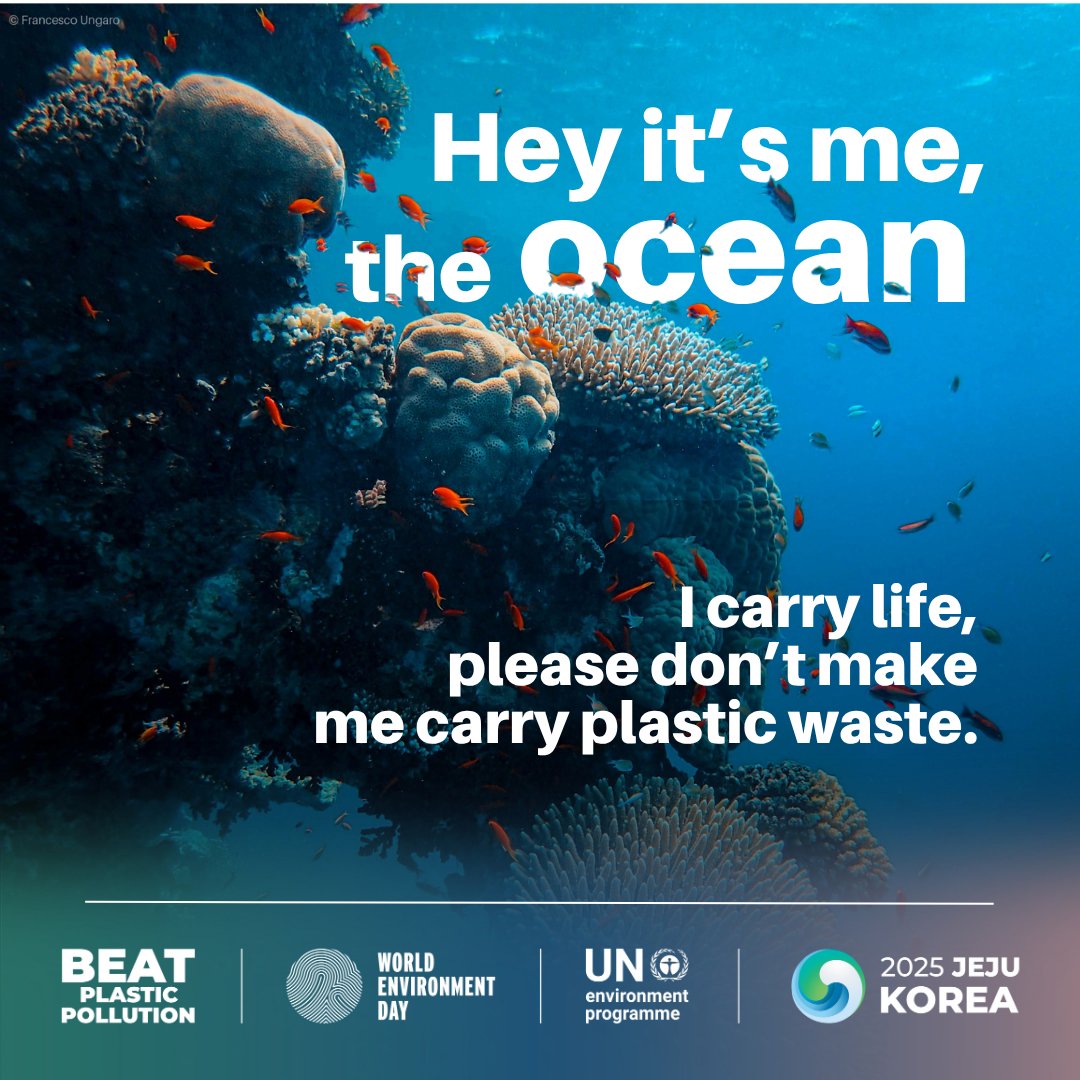 The ocean shaped my childhood. 
Today it faces growing threats, from pollution to warming waters. 
Tech can help us step up action to #SaveOurOcean so future generations inherit its life-sustaining power, not be burdened by its decline. 
#WorldEnvironmentDay #WorldOceansDay