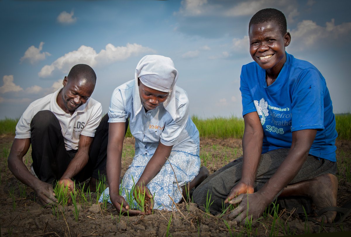 The real superheroes? Uganda’s small-scale farmers. Feeding us, healing the land, protecting the future. 

The true heroes of building a just and a resilient food system, proactively working to feed the nation with healthy and nutritious food. 

On this special day, we salute