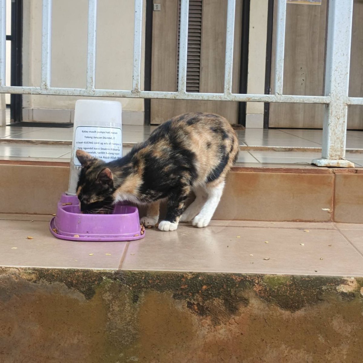 BEM Vokasi UI tweet media