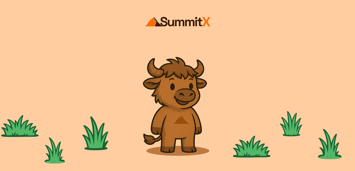 SummitX ⛰️ tweet media