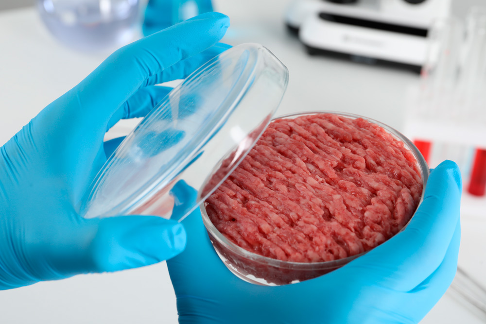 Estrategianet's tweet image. - @GAIKER_BRTA  desarrolla productos basados en #proteína y #grasa de #cerdo #cultivada
tinyurl.com/2j2my3da