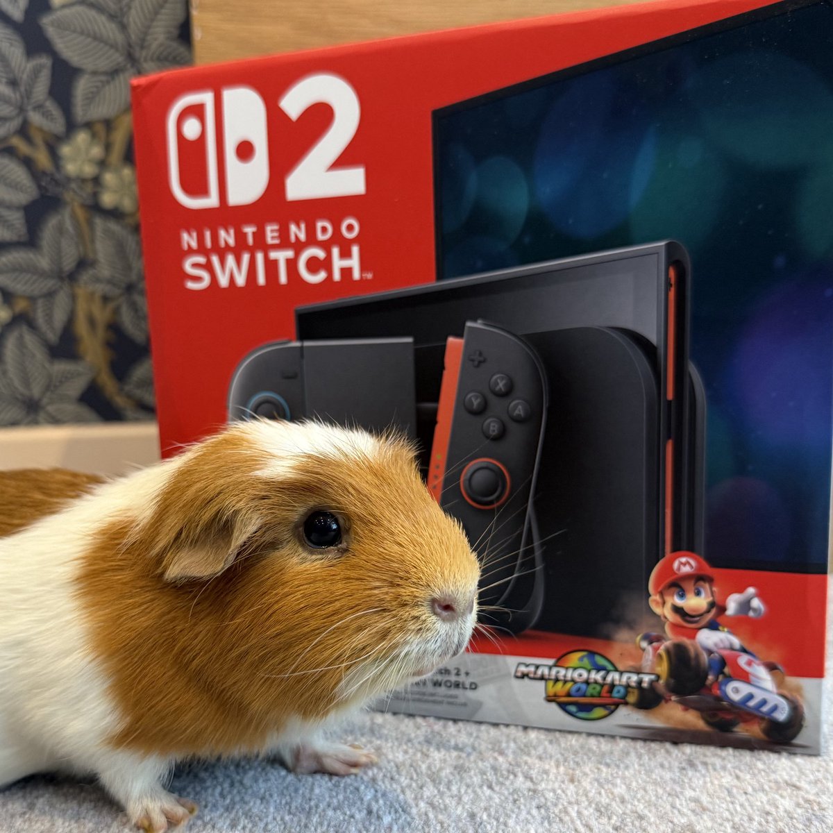 If you overtake me on Mario Kart World, this is who you’re beating