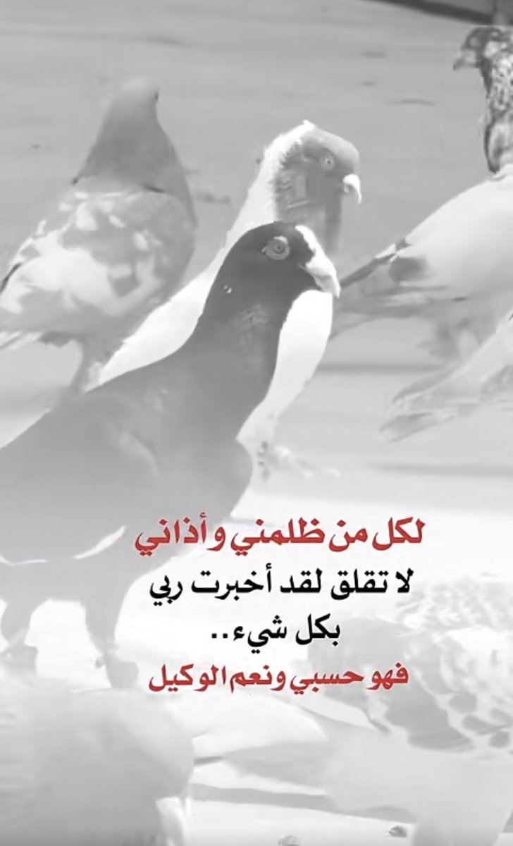 ttaaakk_07's tweet photo. https://t.co/qfddU4Diec