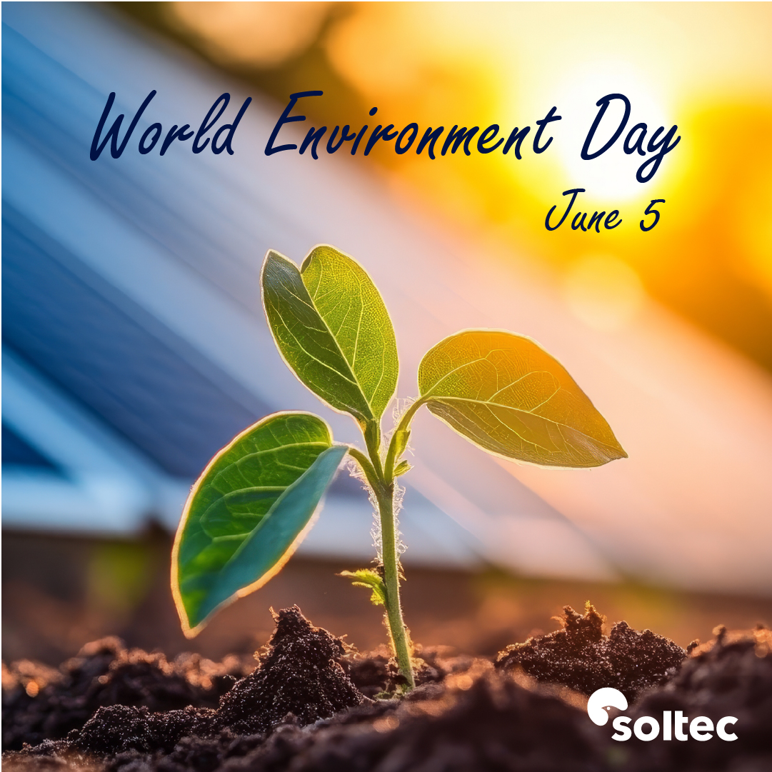 The sun is already doing its part.
Ours is to choose energy that protects life. ☀️🌱
#WorldEnvironmentDay #RenewableEnergy #Sustainability #EcoAwareness