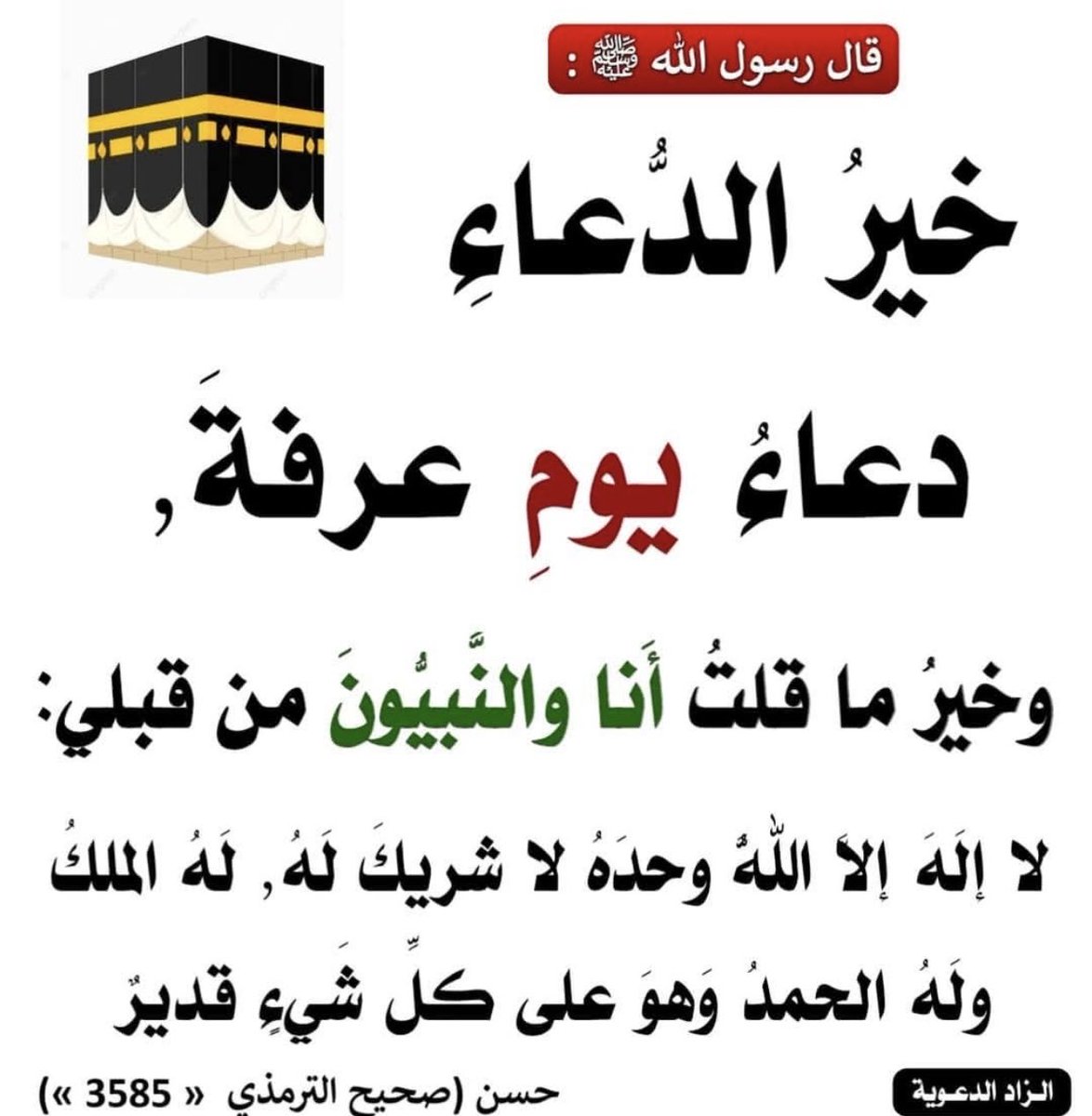 m_allahawi's tweet photo. https://t.co/0Kv0HKOkN4