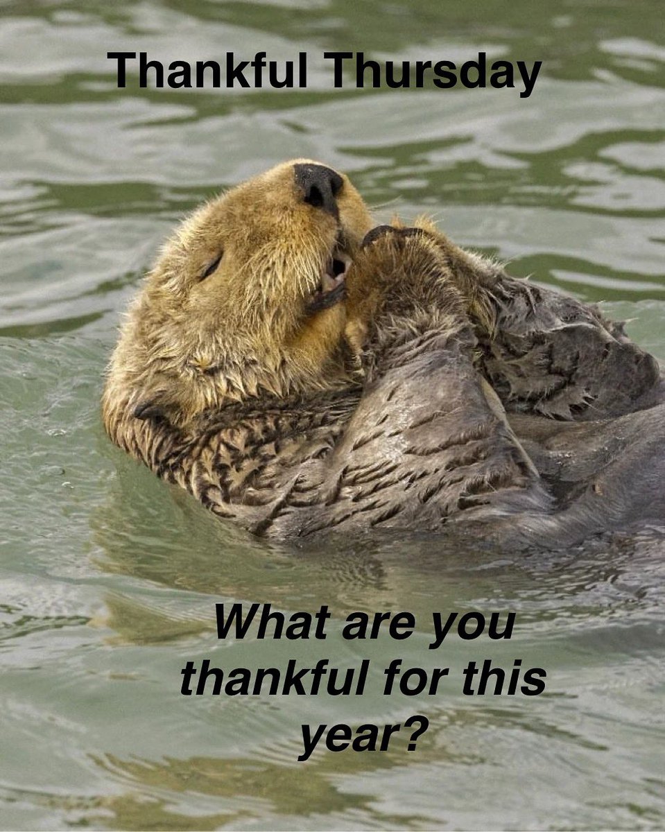 SoFlPeakers (@soflpeakers) on Twitter photo #ThankfulThursday ❤️ what ARE you thankful for? #SouthFloridaPeakers #SupportInspireUnite #MPC2025
#StrongerTogether #MyPeakChallenge #peaker4life #PeakerStrong #ProudPeaker #findyourpeak #BloodCancerUK @samheughan
@mypeakchallenge <a href="/CoachValbo/">John Valbonesi</a> #valbod #ThankfulThursday ❤️ what ARE you thankful for? #SouthFloridaPeakers #SupportInspireUnite #MPC2025
#StrongerTogether #MyPeakChallenge #peaker4life #PeakerStrong #ProudPeaker #findyourpeak #BloodCancerUK @samheughan
@mypeakchallenge <a href="/CoachValbo/">John Valbonesi</a> #valbod