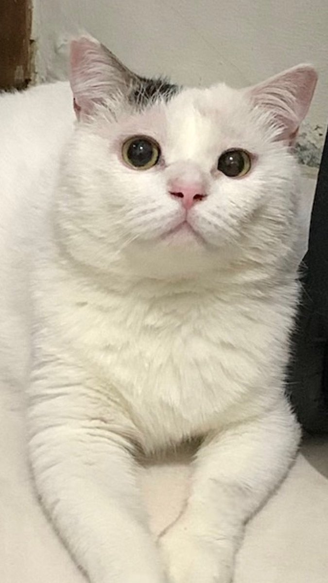 mksudnya ap yh ngomong bgini??!!🤨