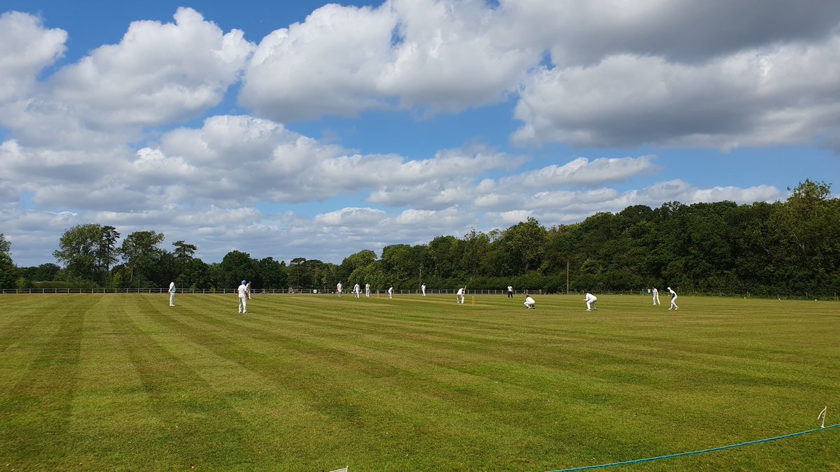 The Bushmen tweet media