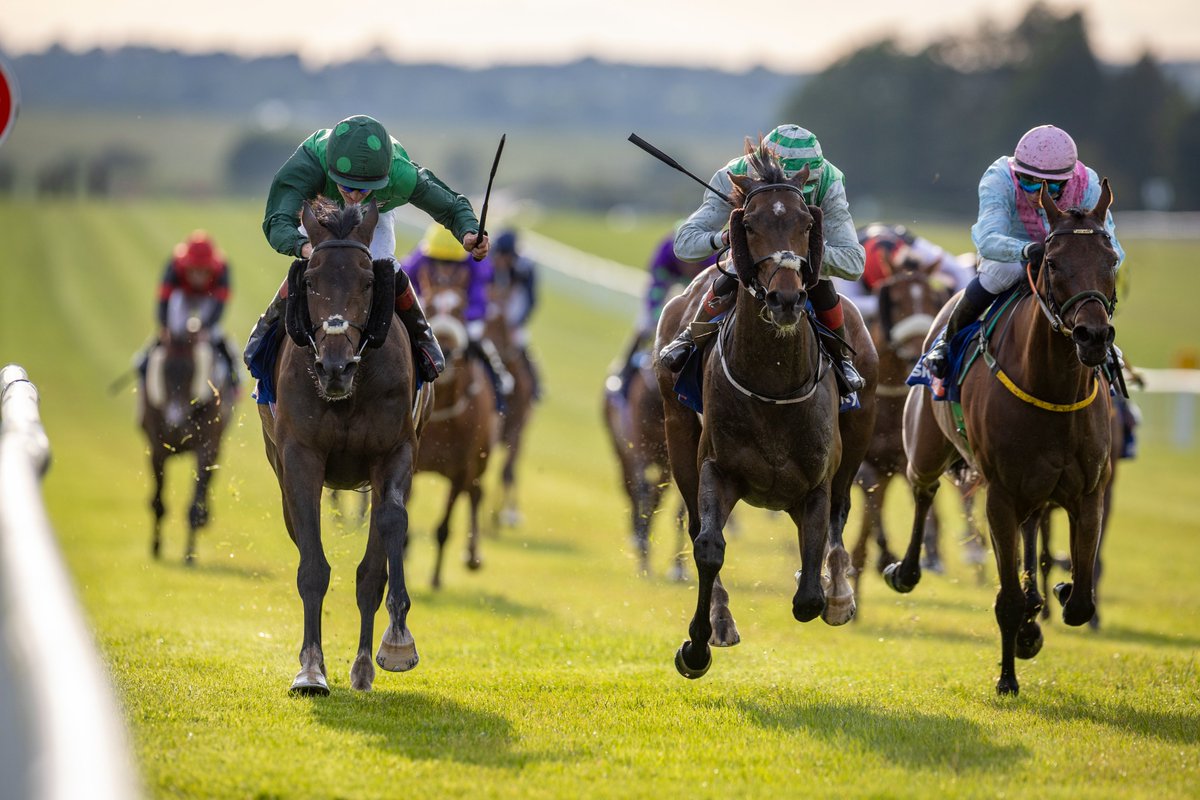 Connolly's RED MILLS (@redmillshorse) on Twitter photo Mr Percy is a Grade 2 winner over hurdles and last night he landed the โฌ50,000 <a href="/SkyBet/">Sky Bet</a> Race To The Ebor Handicap at <a href="/curraghrace/">The Curragh Racecourse</a> under <a href="/Waynehassett11/">Wayne hassett</a> ๐ฅ
Another valuable winner in the #DoubleGreen (<a href="/simon_munir/">Simon Munir</a> and Isaac Souede) for trainer <a href="/JosephOBrien2/">Joseph O'Brien</a> ๐๐ Mr Percy is a Grade 2 winner over hurdles and last night he landed the โฌ50,000 <a href="/SkyBet/">Sky Bet</a> Race To The Ebor Handicap at <a href="/curraghrace/">The Curragh Racecourse</a> under <a href="/Waynehassett11/">Wayne hassett</a> ๐ฅ
Another valuable winner in the #DoubleGreen (<a href="/simon_munir/">Simon Munir</a> and Isaac Souede) for trainer <a href="/JosephOBrien2/">Joseph O'Brien</a> ๐๐