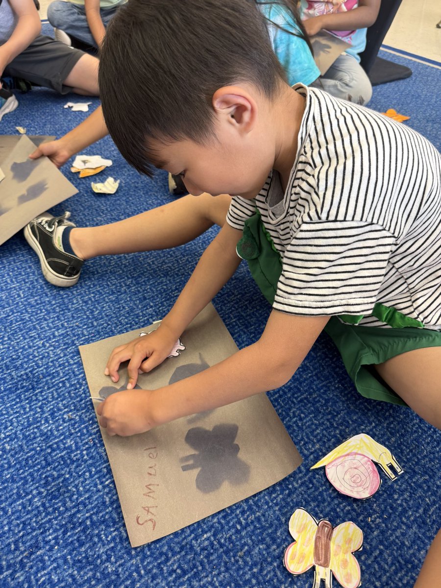 Ms. Abbott (@msabbottocsb) on Twitter photo Our sunprints were a success! What do you notice!? The power of the sun is strong! 🌞 <a href="/StLukeNepean/">St. Luke School (Nepean)</a> Our sunprints were a success! What do you notice!? The power of the sun is strong! 🌞 <a href="/StLukeNepean/">St. Luke School (Nepean)</a>
