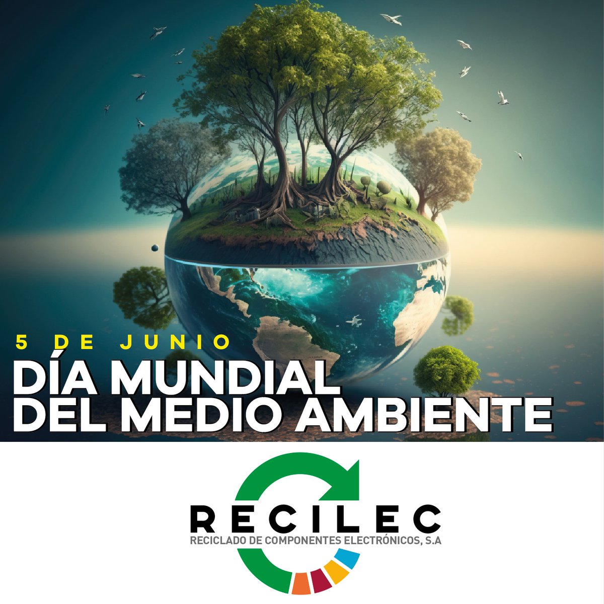 recilec's tweet image. 🌎 En el #DíaMundialDelMedioAmbiente, reafirmamos nuestro compromiso con la gestión responsable de residuos eléctricos y electrónicos.
¡Cuidar el planeta está en nuestras manos! 🌿
#ReciclajeRAEE #EconomíaCircular #Sostenibilidad #Recilec 💡🌱
🔗 recilec.com