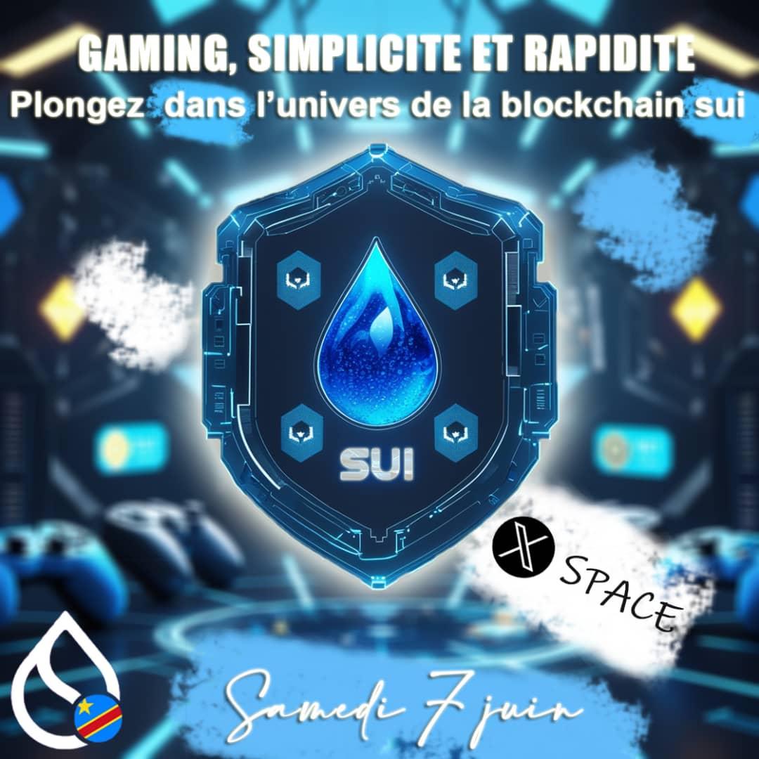 GM sui fam. vous êtes intéressé par <a href="/SuiNetwork/">Sui</a> et vous êtes de la communauté francophone ?

pas de soucis , Lisez cet article très instructif rédigé par <a href="/chrissalumu_js/">Chris.js</a> chef d'équipe de  communauté locale en République Démocratique Du Congo 🇨🇩.