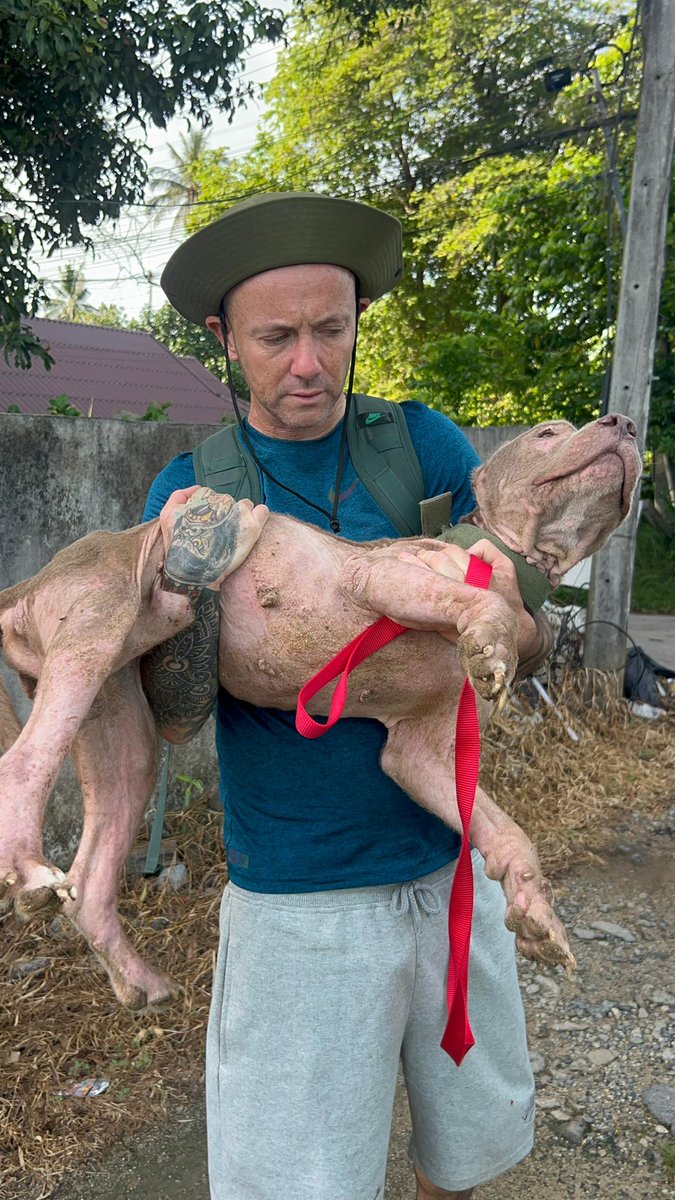 More of his little comeback on my insta today…

instagram.com/niall.harbison

A follow there helps to much 🙏🥰