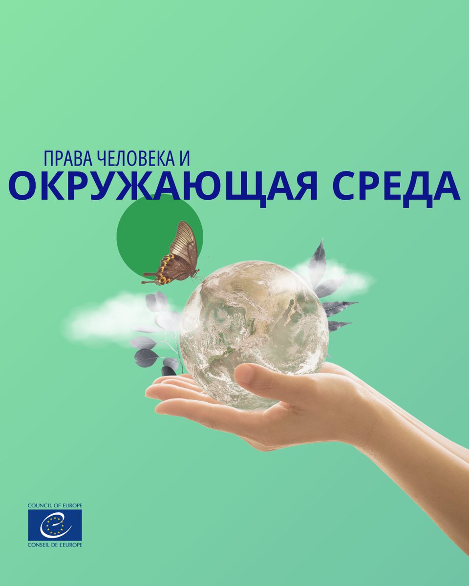 Давайте вместе выступим за более чистый, здоровый и устойчивый мир — мир, где права человека и окружающая среда сосуществуют и процветают. 🌿🍃🍀
Группы активистов и частные лица обращаются в #ЕСПЧ для решения целого спектра экологических вопросов:
coe.int/ru/web/impact-…