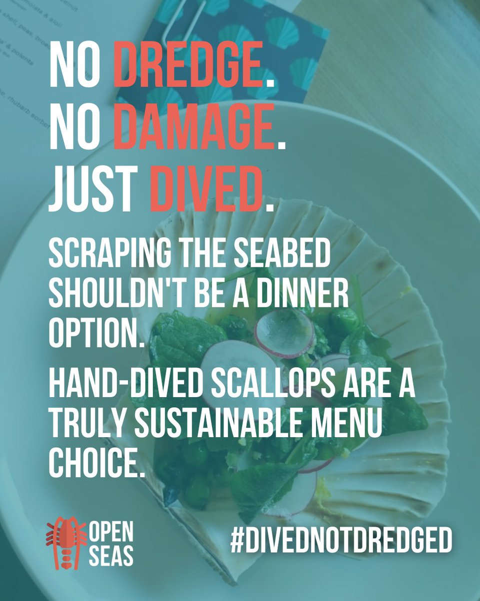 #DivedNotDredged is Open Seas’ campaign that shines a light on scallop diving in Scotland, a low-impact fishing method, that provides a more sustainable alternative to scallop dredging.

Scallop dredging is widely regarded as the UK’s most environmentally harmful form of fishing.