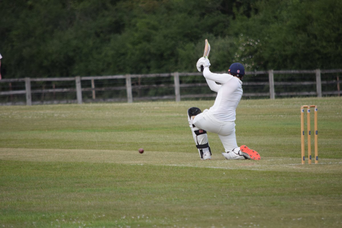 The Bushmen tweet media