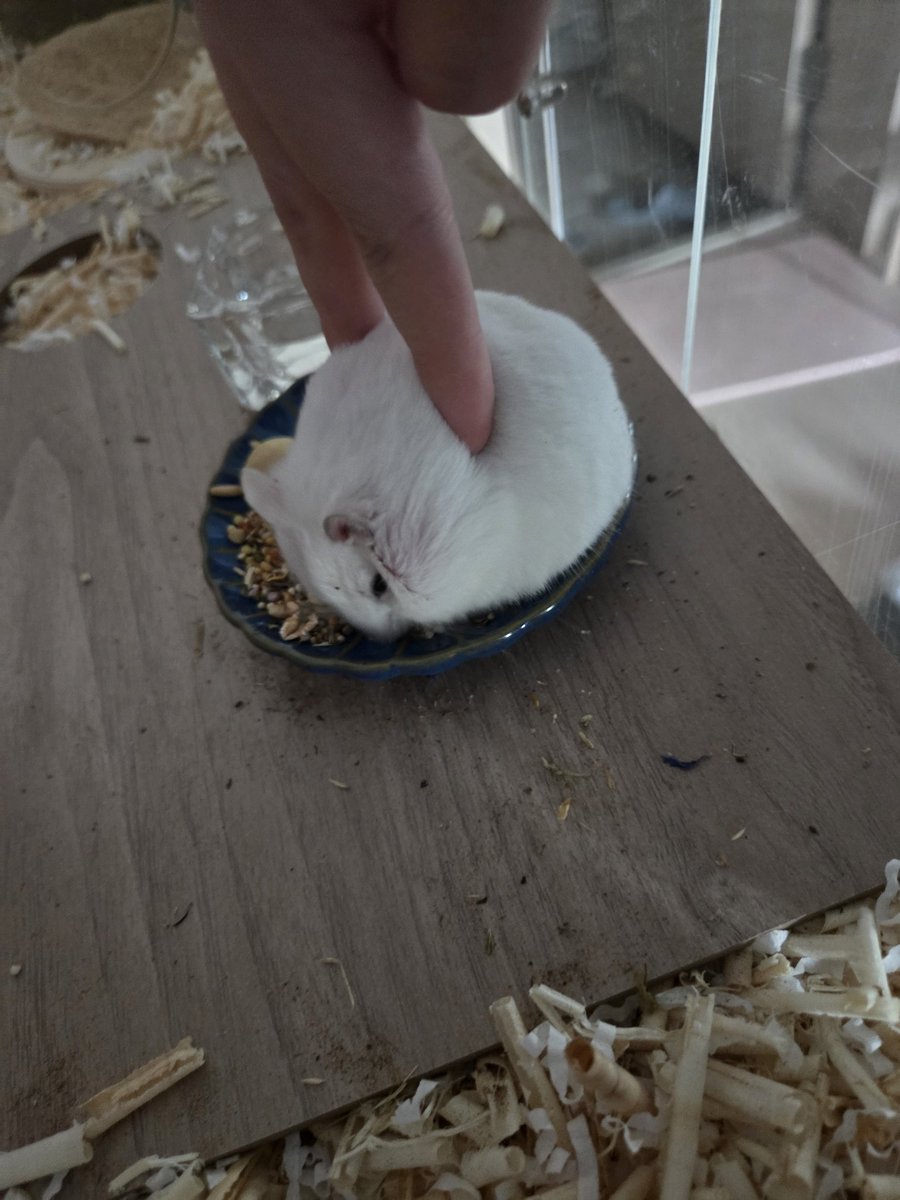 찰떡집게