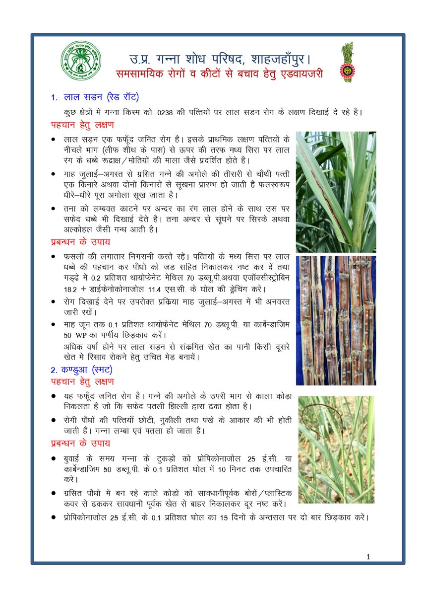 Cane Development UP tweet media