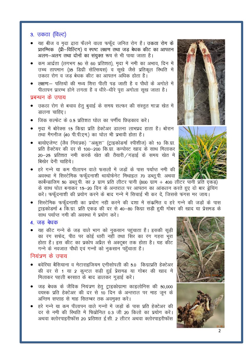 Cane Development UP tweet media