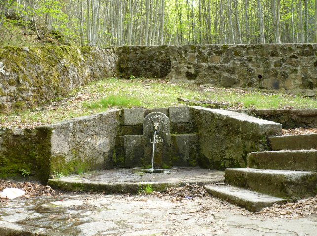 Ruta con Historia: Béjar – Santa Ana
🚶‍♀️ Empezamos subiendo por la carretera del Castañar hasta la Fuente del Lobo (1,4 km).
🦉 Entre curvas y bosque, encontramos el sendero que nos lleva a Los Navarejos, con un mirador increíble.
🔁 Guarda esta ruta para tu próxima escapada