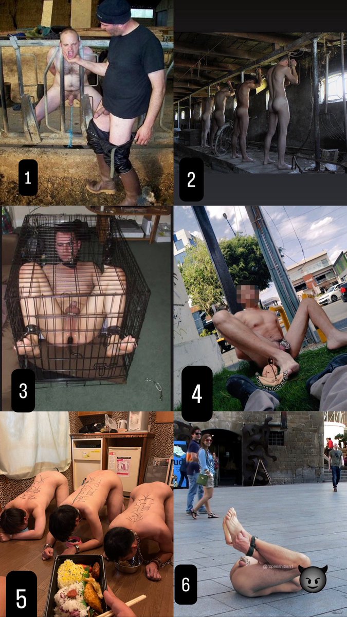Which one is your favorite?

Write in the comment .