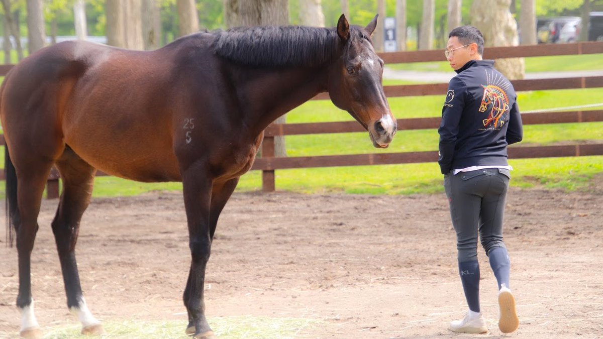 世界を沸かせた名馬と、その背中を託された男――
ゴールデンシックスティとヴィンセント・ホー騎手。
いつも一緒にレースを駆け抜けてきた2人が、今、再び顔を合わせました。

#ゴールデンシックスティ #何澤堯 #ノーザンホースパーク #ヴィンセント・ホー　#VincentHo #GoldenSixty　#金鎗六十