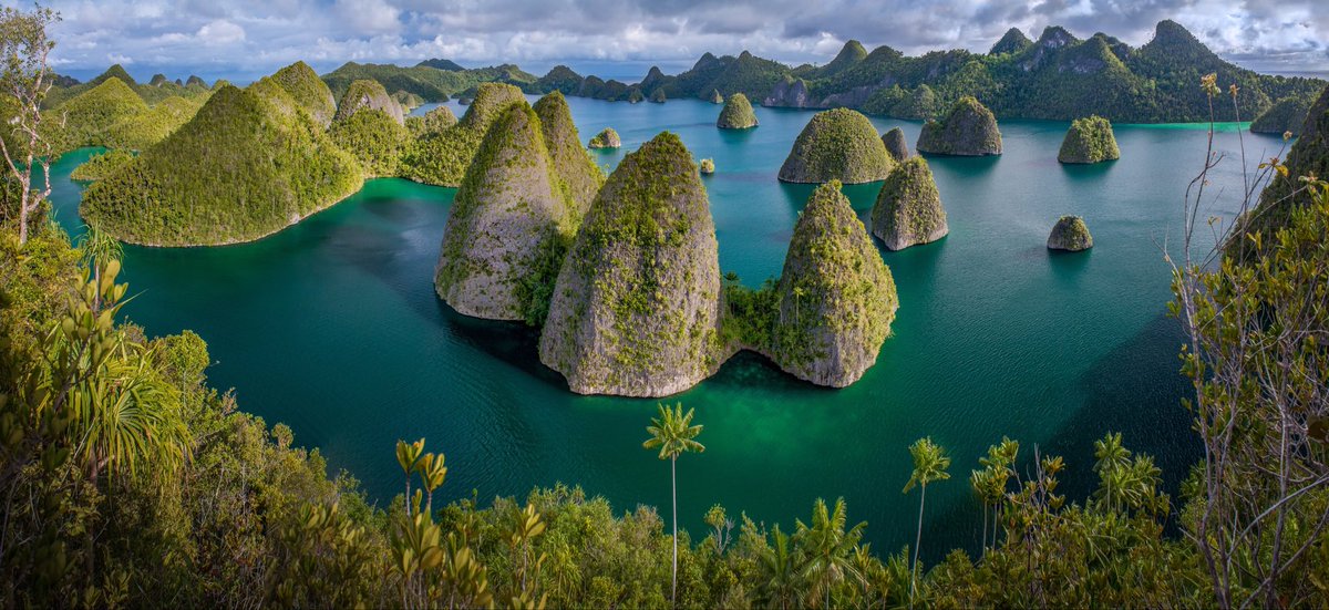"97% Raja Ampat adalah daerah konservasi sehingga ketika terjadi persoalan pencemaran lingkungan oleh aktivitas tambang, kami tidak bisa berbuat apa-apa karena kewenangan kami terbatas" - Orideko Burdam (Bupati Raja Ampat)

TTD PETISI DI act.gp/saverajaampat

#SaveRajaAmpat