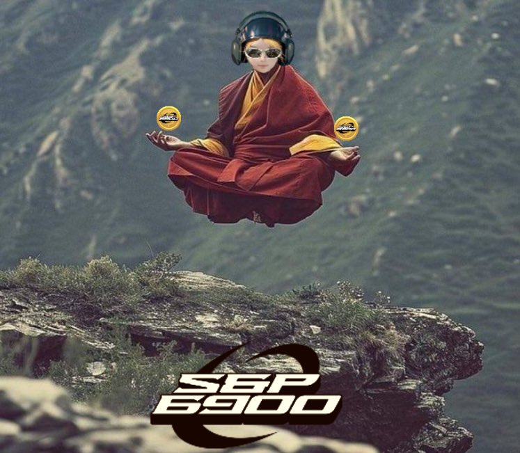 if you own SPX6900, you’re ahead of 99.999969% of humanity in recognizing what’s going to become the world’s largest tokenized movement. stay disciplined &amp; you’ll think of yourself as a visionary for the rest of your life.

if you don’t own SPX6900 yet, you’ll eventually buy, but