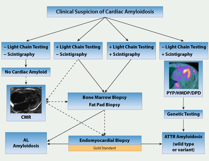 Brett Sperry, MD tweet media
