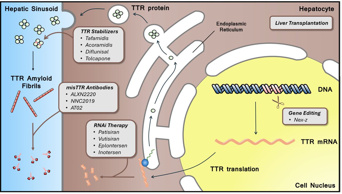 Brett Sperry, MD tweet media