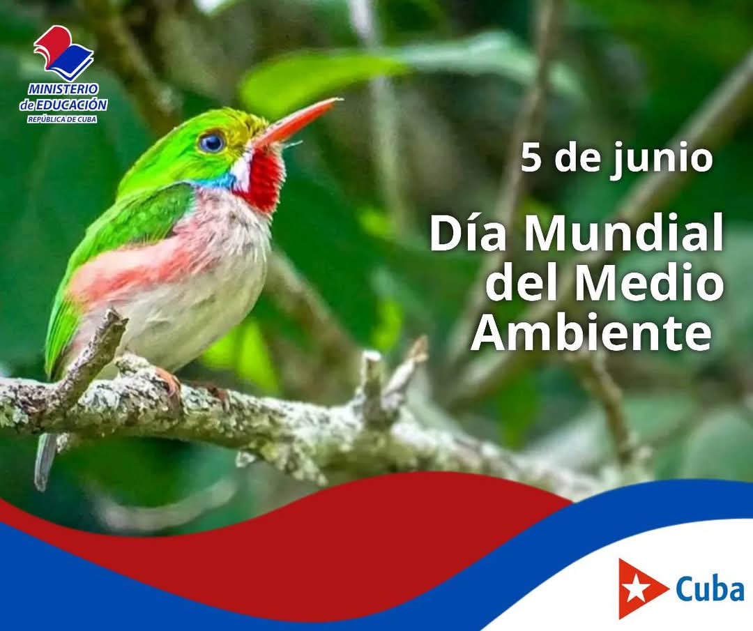 Hoy celebramos el día Mundial del Medio Ambiente. Educar a nuestros niños, adolescentes y jóvenes en su cuidado y protección es tarea de la escuela, la familia y la sociedad en general.#CubaPorLaVida #EPASECAvila <a href="/CubaMined/">MINED</a> <a href="/DiazCanelB/">Miguel Díaz-Canel Bermúdez</a>  <a href="/BrigadaEducGE/">Brigada Educativa Cubana en Guinea Ecuatorial</a> <a href="/MallulyDiaz/">Malluly Diaz</a> <a href="/CuGEcuatorial/">EmbaCuba Guinea Ecuatorial</a>