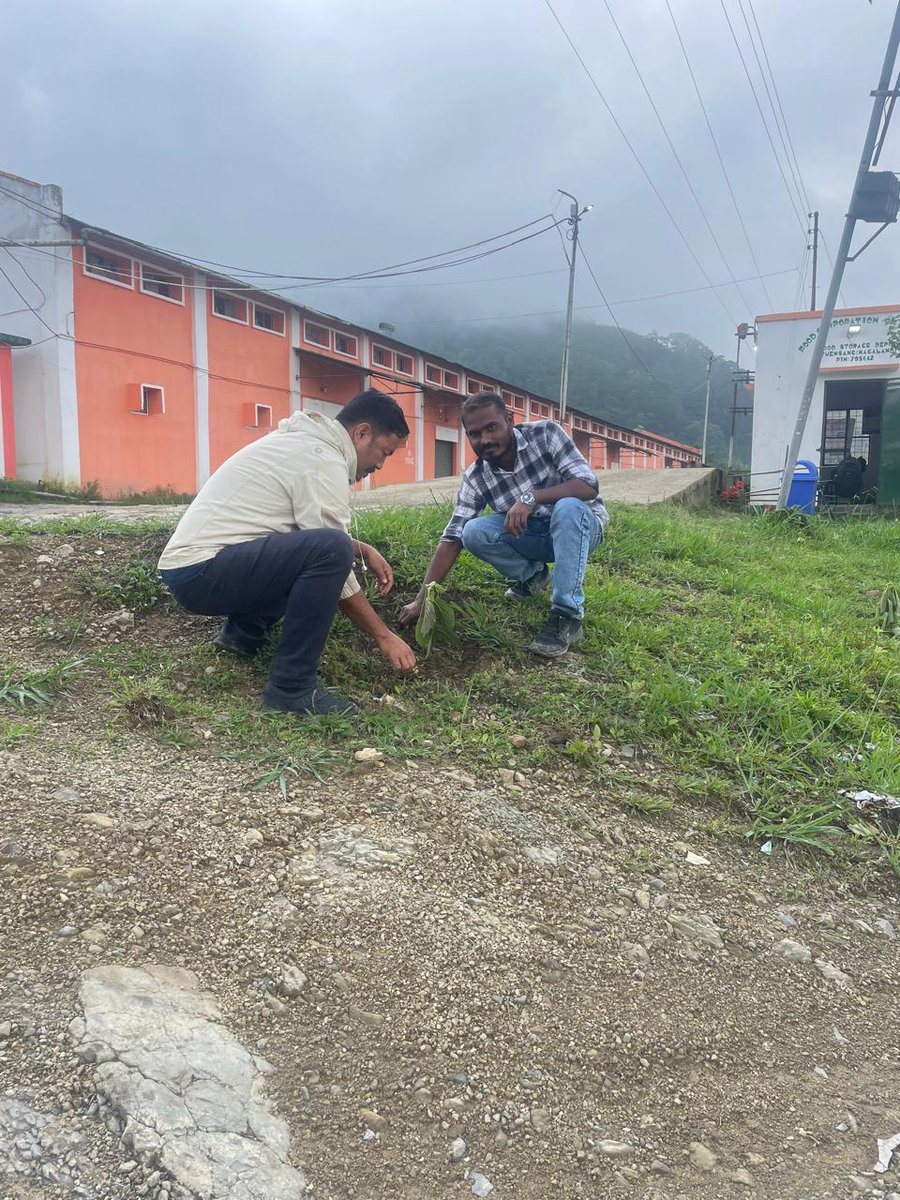 FCI DO Dimapur (@fcidodimapur) on Twitter photo On the occasion of the #WorldEnvironmentDay2025 , plantation drive carried out by the officers/officials of FCI depots under FCI DO Dimapur Nagaland region on 05.06.2025. #WorldEnvironmentDay2025 #fci #EkPedMaaKeNaam <a href="/FciNagaland/">FCI Nagaland</a> <a href="/fci_ne/">Food Corporation of India, Zonal Office(NE)</a> On the occasion of the #WorldEnvironmentDay2025 , plantation drive carried out by the officers/officials of FCI depots under FCI DO Dimapur Nagaland region on 05.06.2025. #WorldEnvironmentDay2025 #fci #EkPedMaaKeNaam <a href="/FciNagaland/">FCI Nagaland</a> <a href="/fci_ne/">Food Corporation of India, Zonal Office(NE)</a>