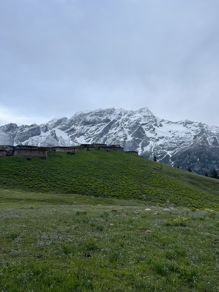 sf_dawar's tweet photo. The beauty of Swat 🌸

📍Chukail Banda Bahrain

Clicks Date: 31st May 2025 https://t.co/L0Z9l3m8o1
