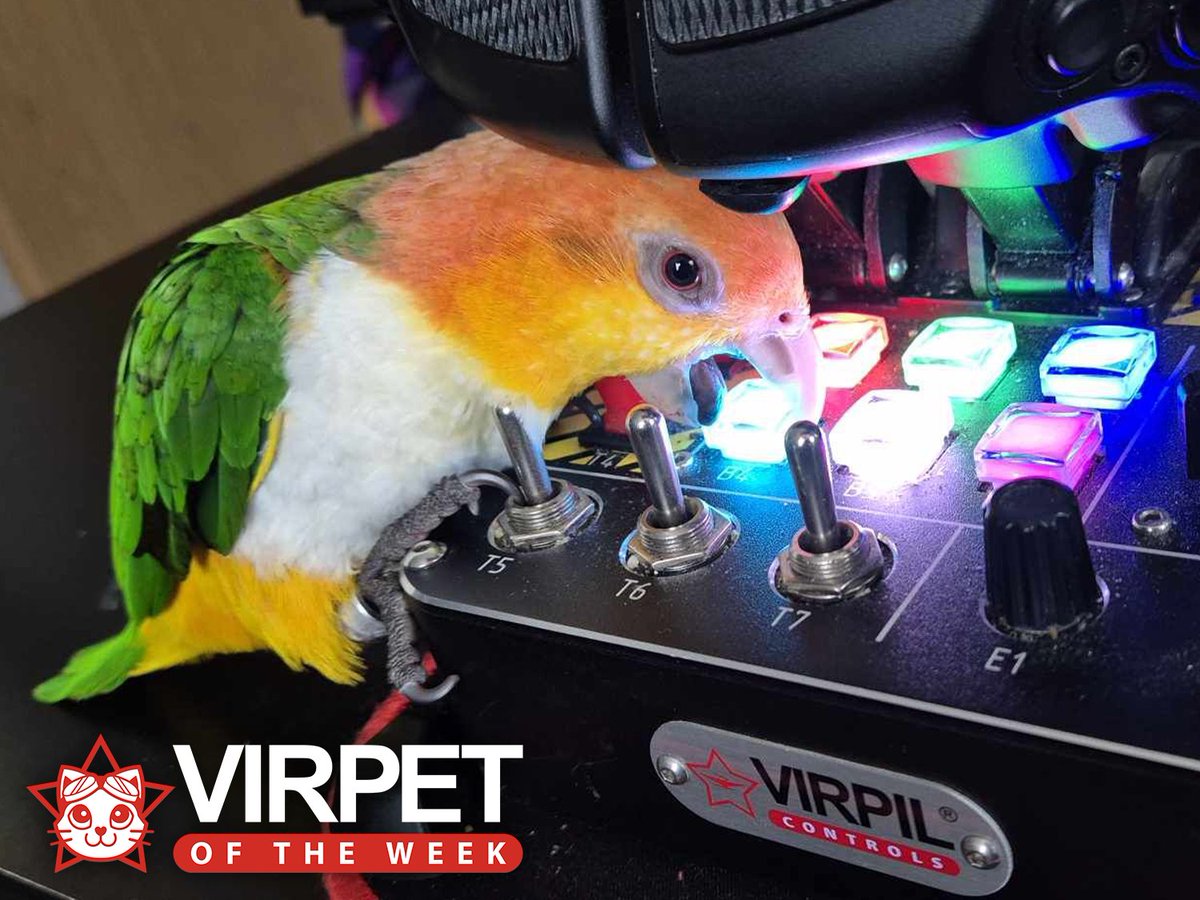 Who knows more about flying than our feathered friends? 🐦🕹️

Radovan's parrot pal is giving a helping beak controlling the MongoosT-50CM3 throttle, making them this week's featured VIRPET!

Do you have also have a helpful co-pilot pet? Share your photos!