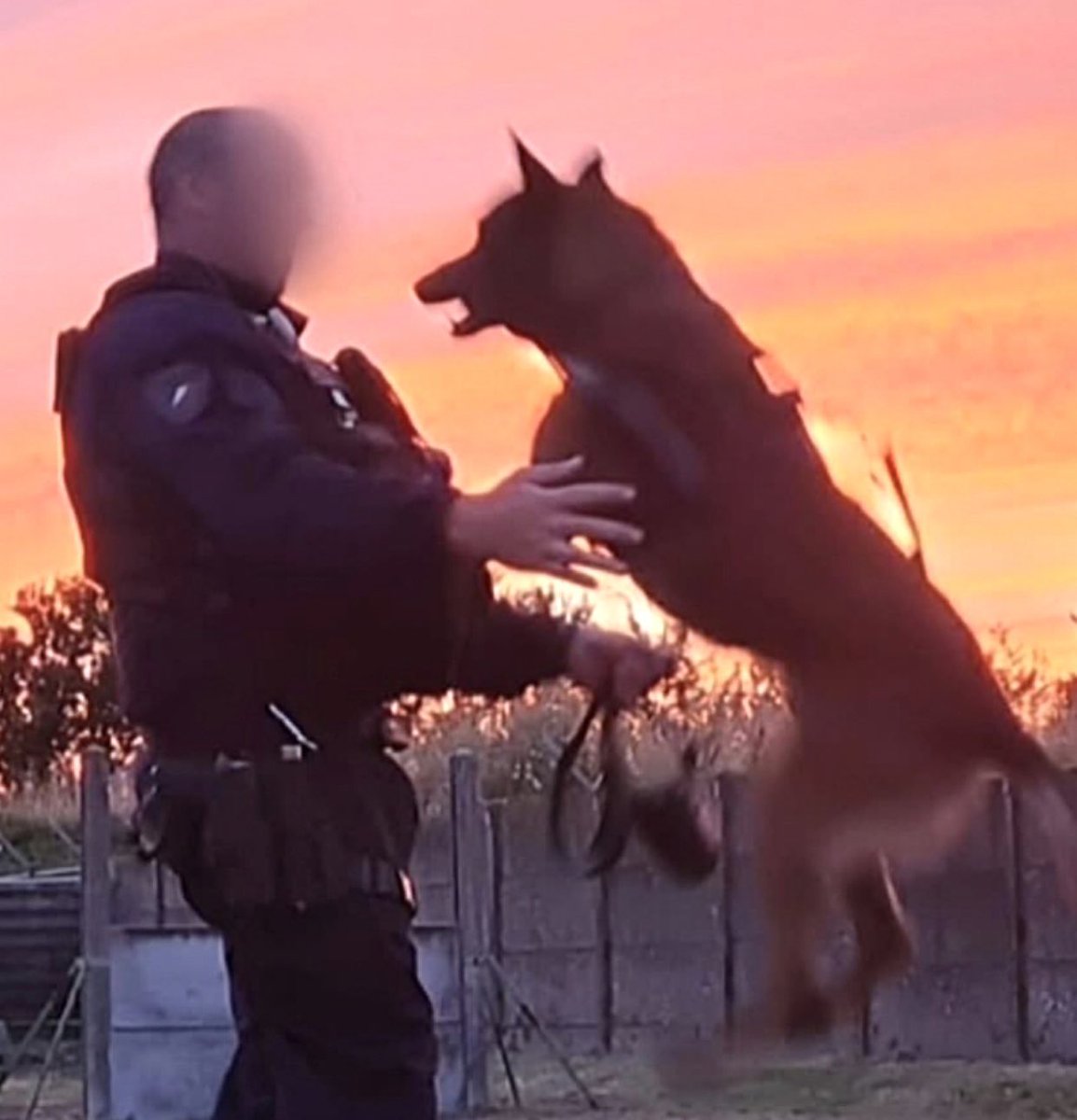 Gaël, affecté à la brigade canine de Rennes, a été grièvement blessé au visage par un engin pyrotechnique à l'issue du match PSG-Inter Milan.

Il a été opéré et plongé dans un coma artificiel son état reste extrêmement préoccupant.

Papa de deux petites princesses de 5 et 11 ans.
