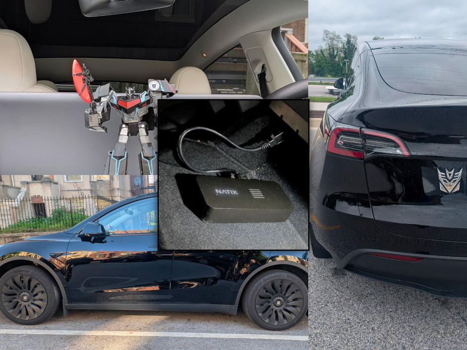 Visuals for Vigil + Collins Dynasty tweet media