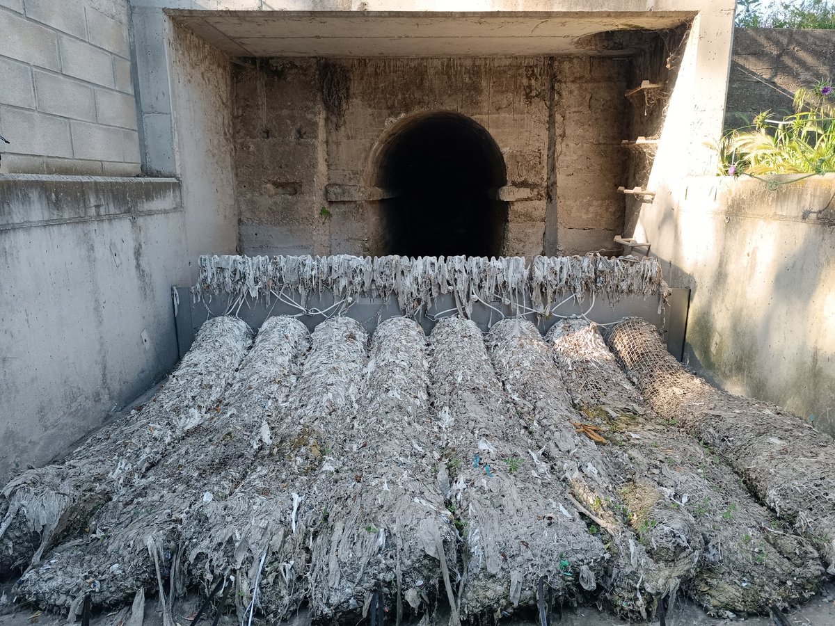 🌍 Día Mundial del Medio Ambiente🌱

Nuestras redes #TecnoGrabber muestran lo que muchos no ven. Residuos como toallitas y plásticos llegan a los ríos por tirarse por el WC.

En #TecnoConverting los detenemos, pero la verdadera solución empieza en casa.

#diamundialmedioambiente