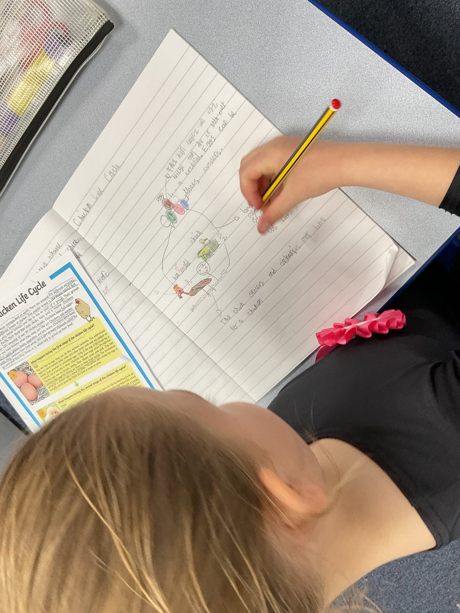 PDA_Y2's tweet image. In Science, we enjoyed learning all about the life cycle of a chicken and presenting what we had learnt as a diagram with detailed labelling. Great job! ⭐️🐣🐓#pdascience