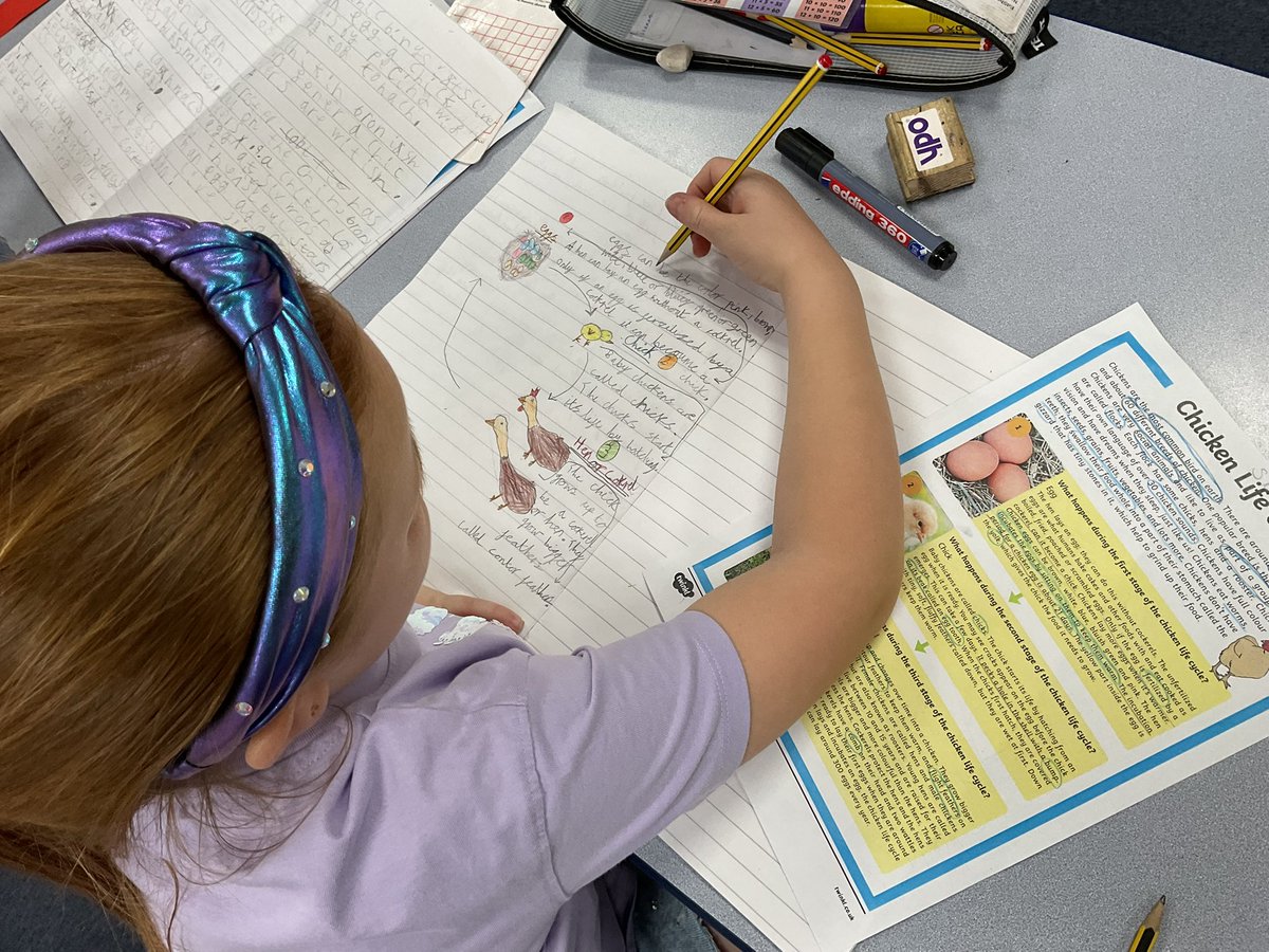 PDA_Y2's tweet image. In Science, we enjoyed learning all about the life cycle of a chicken and presenting what we had learnt as a diagram with detailed labelling. Great job! ⭐️🐣🐓#pdascience