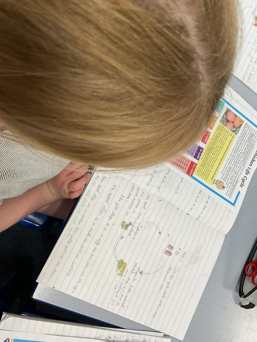 PDA_Y2's tweet image. In Science, we enjoyed learning all about the life cycle of a chicken and presenting what we had learnt as a diagram with detailed labelling. Great job! ⭐️🐣🐓#pdascience