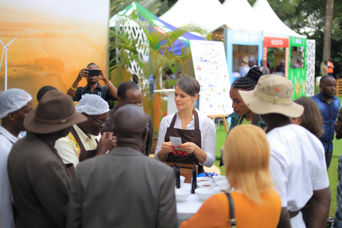 The NGO Forum tweet media