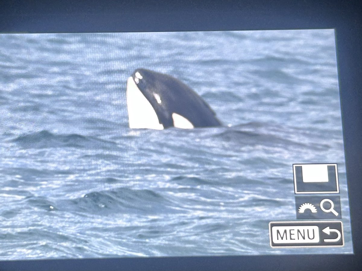 Dylan M. Edwards tweet media