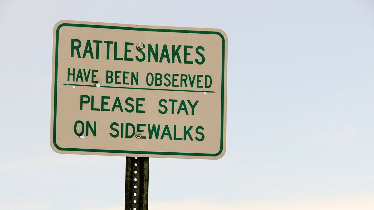 Rattlesnake season is HERE in CA! 🐍 Are you prepared for encounters? Learn how to safely coexist with these vital reptiles. Check out our organization's training &amp; resources! 

➡️ savethesnakes.org/training 

➡️ savethesnakes.org/2019/05/04/liv…

#RattlesnakeSafety #SaveTheSnakes #California