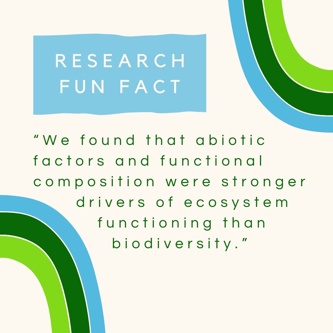 dForNatLan's tweet photo. He explores this from multiple perspectives, including future changes in species composition, future changes in functional traits composition, and functional drivers of temporal stability.
#FNL #KUL #Researchinthespotlight #Researcherofthemonth #PhD #KULeuven https://t.co/NIHcyp8rho