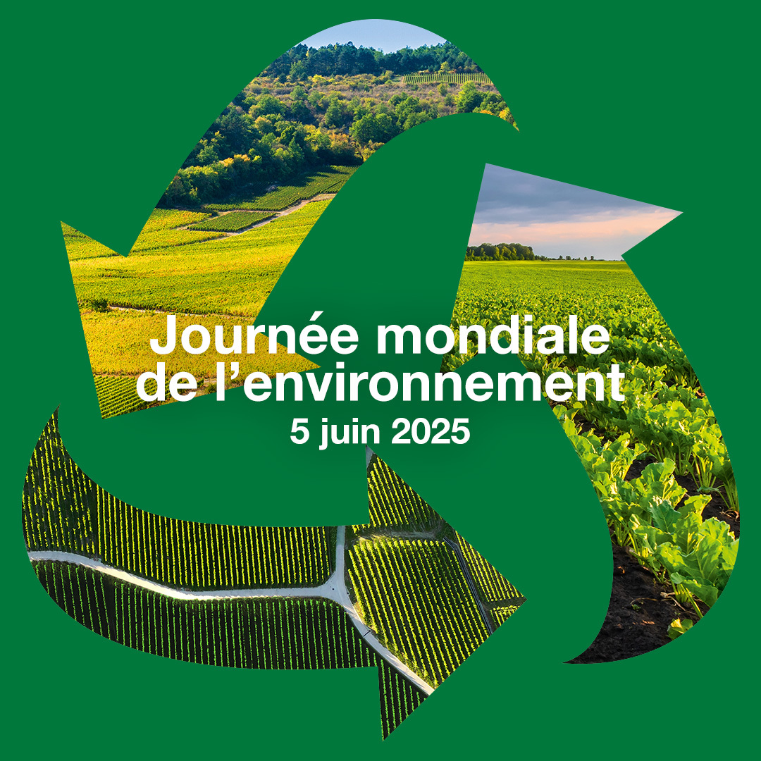 [JOURNÉE DE L'ENVIRONNEMENT]

Focus sur le recyclage agricole ! ♻️

Chaque année, les déchets plastiques issus de l’agriculture — bidons, sacs, films d’enrubannage — sont collectés et recyclés. Grâce à des initiatives comme celle d’<a href="/adivalor/">Adivalor</a> ces matériaux retrouvent une seconde