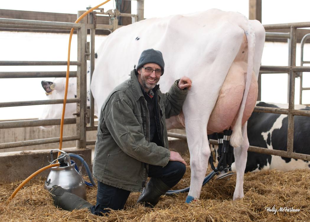 🏆 STOP buying expensive genetics! This 6th-generation farm proves closed herds can outperform open operations. Chris McLaren's approach challenges everything the industry tells you about genetic advancement. Worth questioning your current strategy? bit.ly/4mKG7eO