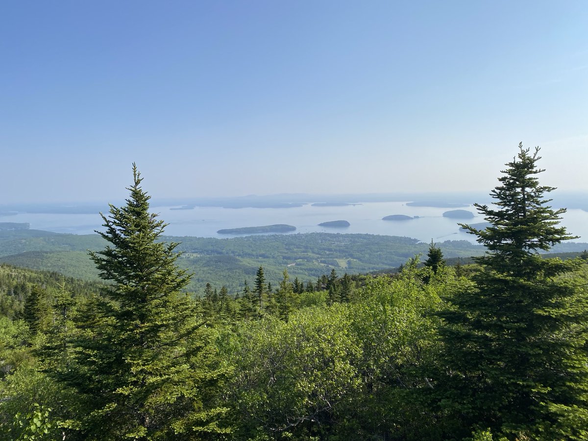 bird poop deluxe tweet media