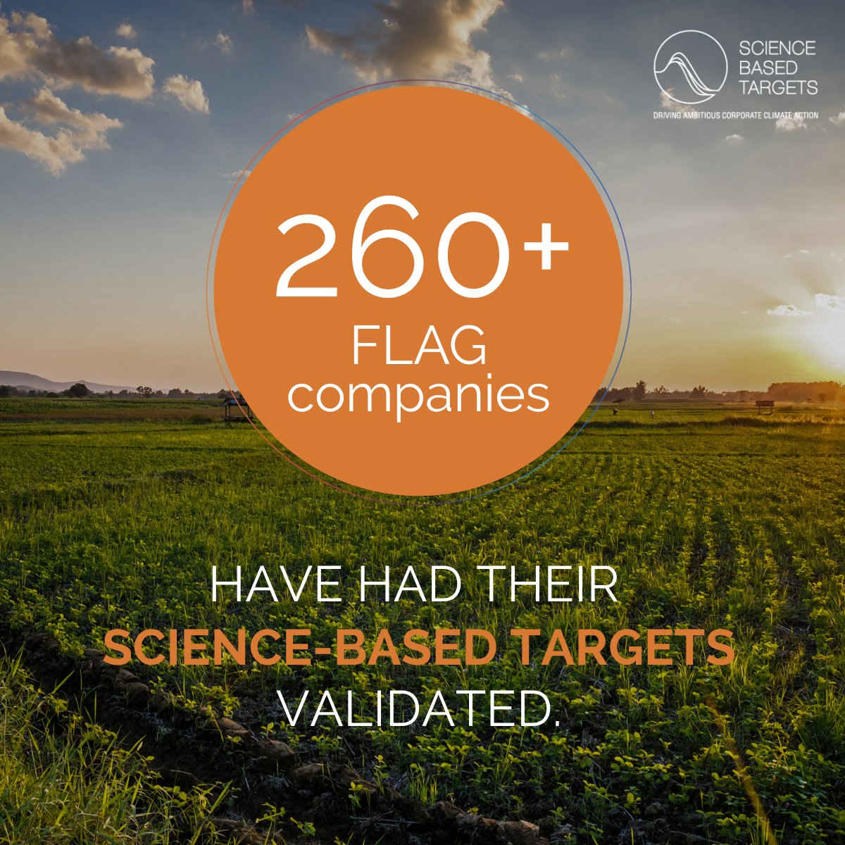 Over 260 companies in the forest, land and agriculture (FLAG) sector have set science based targets using the SBTi FLAG Guidance!

Learn more about our work in the FLAG sector in this blog, which draws on key insights from a new <a href="/WWF/">WWF</a> US report.
sciencebasedtargets.org/blog/260-compa…
