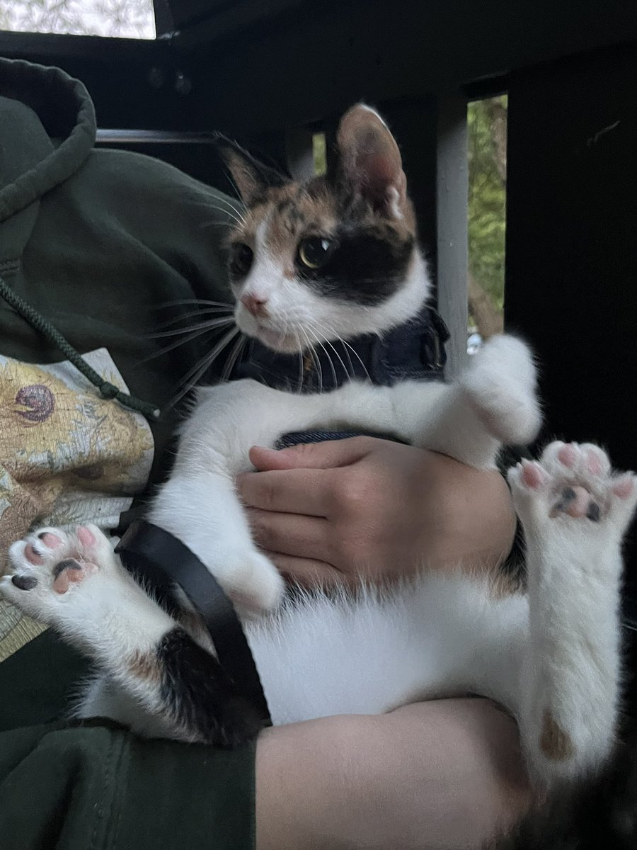 bean check