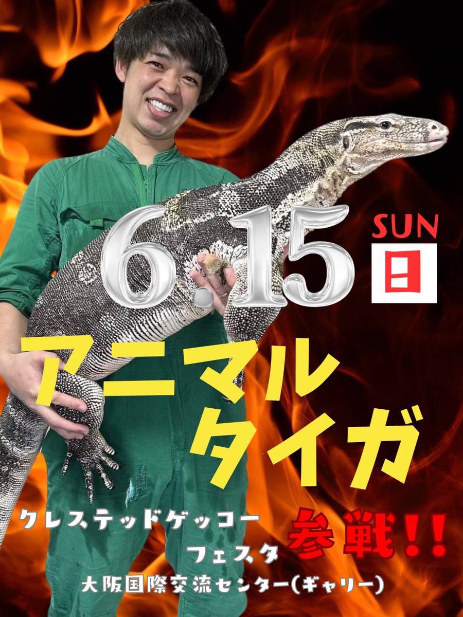 〜スペシャルゲスト〜

スペシャルゲストとして
アニマルタイガさんが来られます🥳

アニマルタイガさんが
ゲストということは…🦎

アニマルタイガさんXアカウントは
こちらです 👉 <a href="/animaltaiga8/">アニマルタイガ</a> 👈

#クレステッドゲッコー
#クレスフェス
#爬虫類イベント